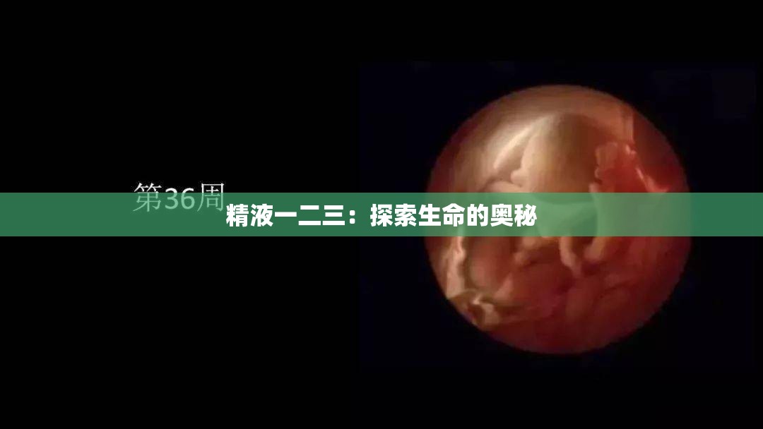 精液一二三：探索生命的奥秘