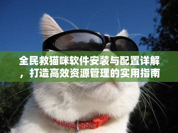 全民救猫咪软件安装与配置详解，打造高效资源管理的实用指南