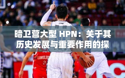暗卫营大型 HPN：关于其历史发展与重要作用的探讨