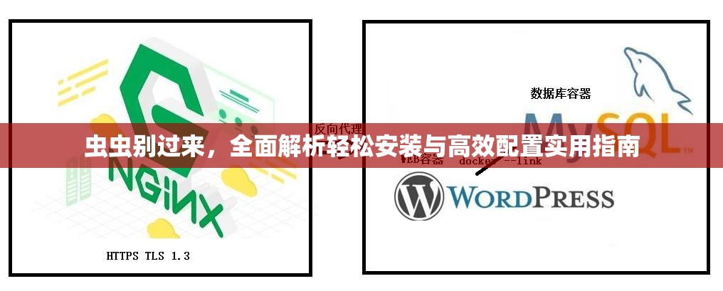 虫虫别过来，全面解析轻松安装与高效配置实用指南