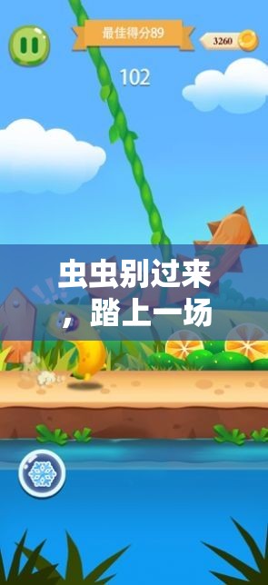 虫虫别过来，踏上一场充满惊喜与挑战的别开生面冒险之旅