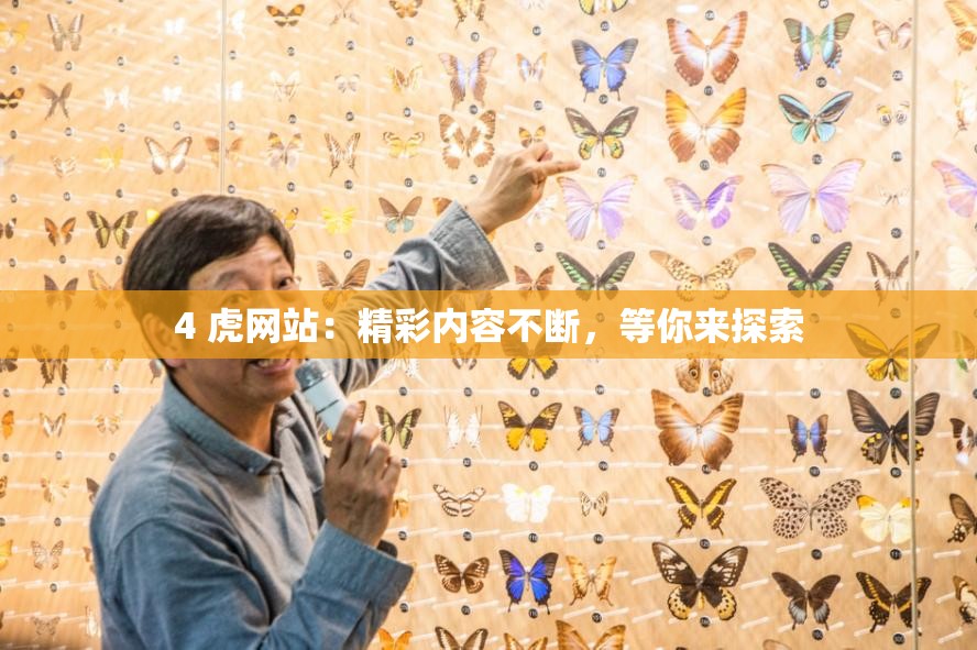 4 虎网站：精彩内容不断，等你来探索