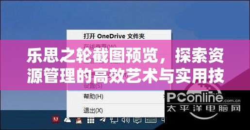 乐思之轮截图预览，探索资源管理的高效艺术与实用技巧