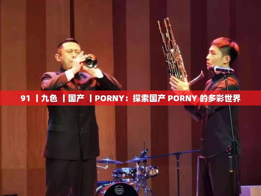 91 丨九色 丨国产 丨PORNY：探索国产 PORNY 的多彩世界