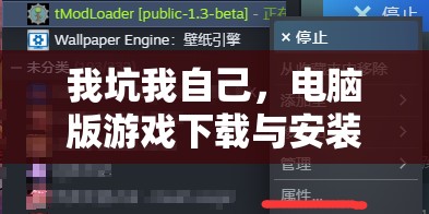 我坑我自己，电脑版游戏下载与安装步骤全面详细攻略