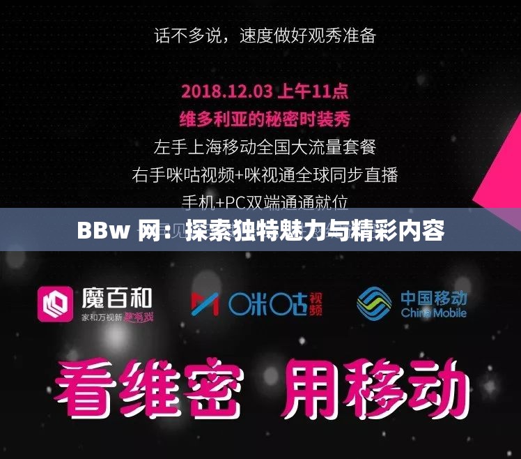 BBw 网：探索独特魅力与精彩内容
