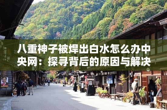 八重神子被焊出白水怎么办中央网：探寻背后的原因与解决之策