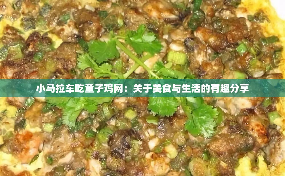 小马拉车吃童子鸡网：关于美食与生活的有趣分享