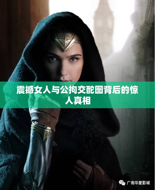 震撼女人与公拘交酡图背后的惊人真相