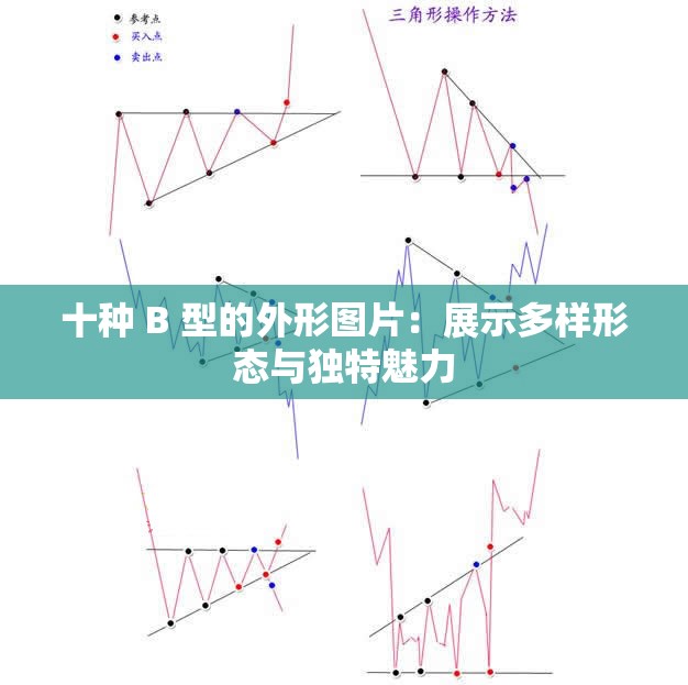 十种 B 型的外形图片：展示多样形态与独特魅力