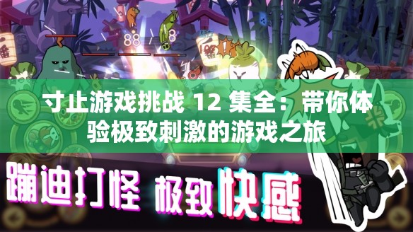 寸止游戏挑战 12 集全：带你体验极致刺激的游戏之旅