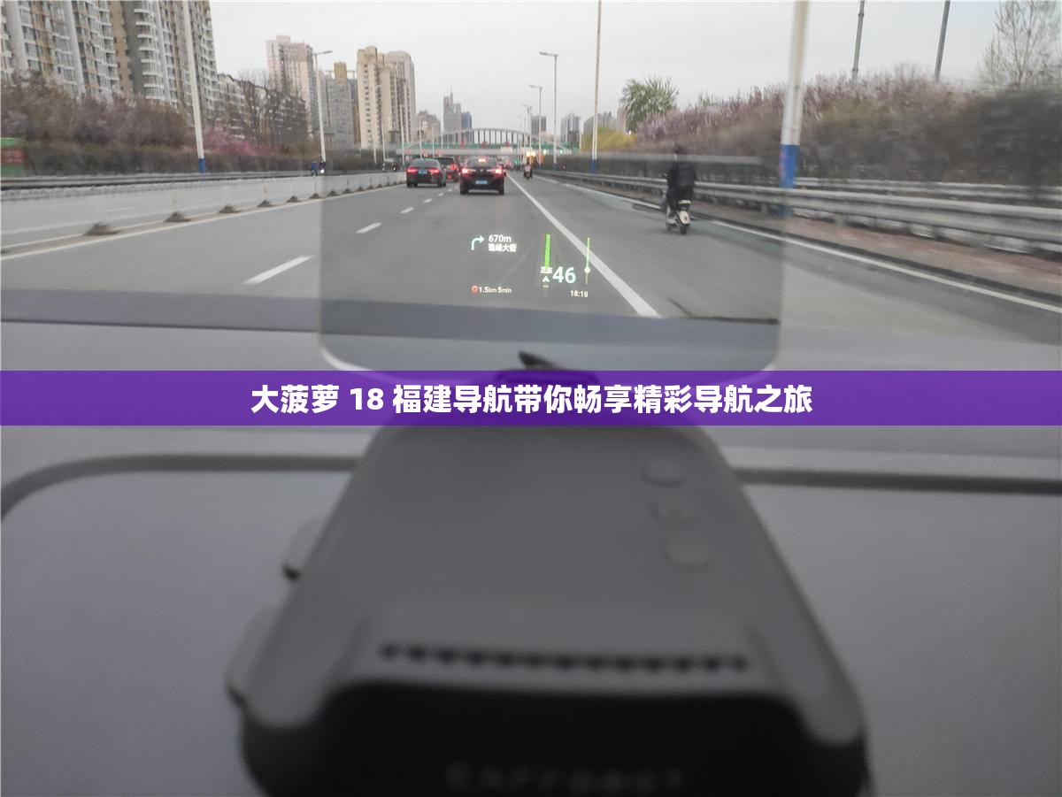 大菠萝 18 福建导航带你畅享精彩导航之旅
