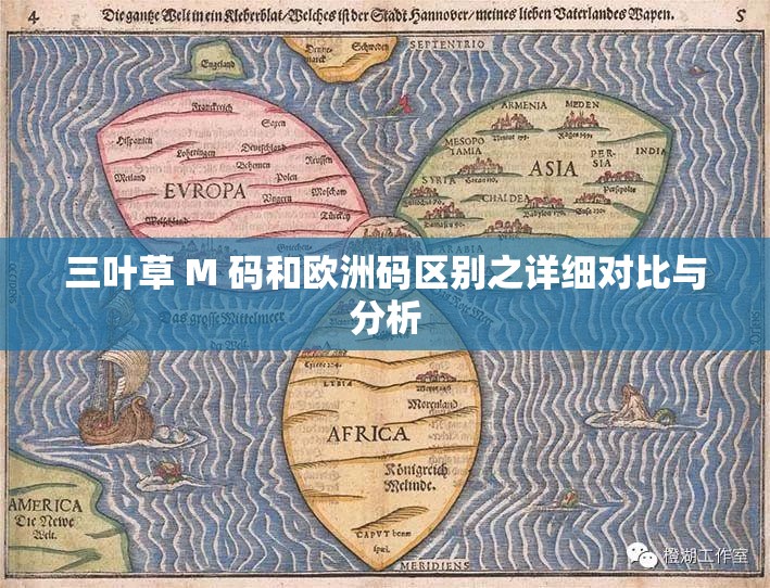 三叶草 M 码和欧洲码区别之详细对比与分析