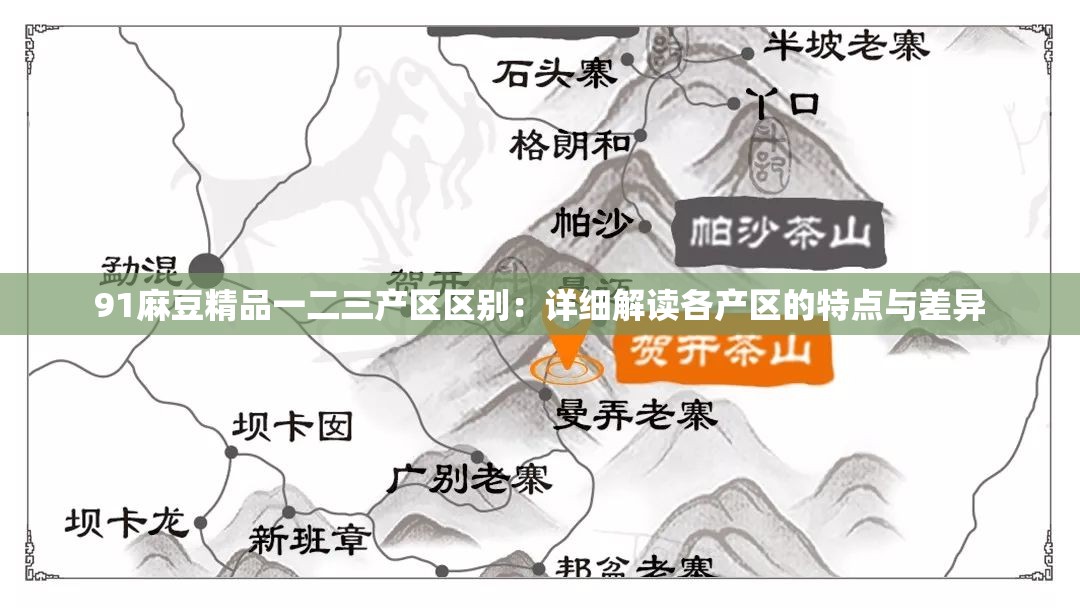 91麻豆精品一二三产区区别：详细解读各产区的特点与差异