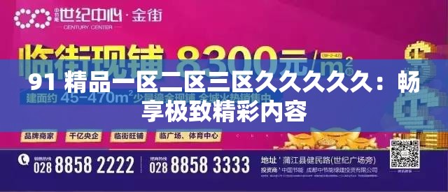 91 精品一区二区三区久久久久久：畅享极致精彩内容