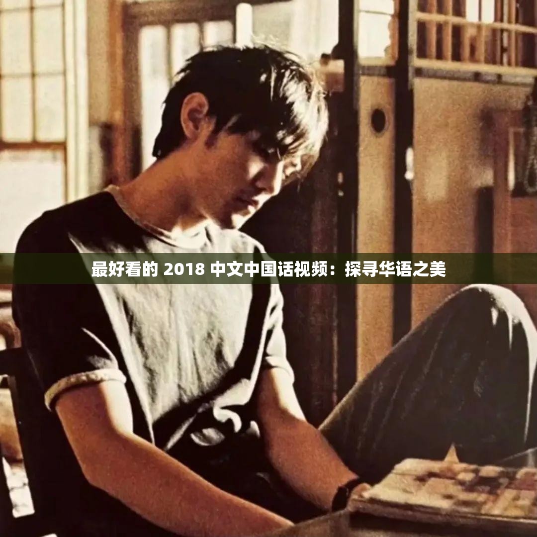 最好看的 2018 中文中国话视频：探寻华语之美