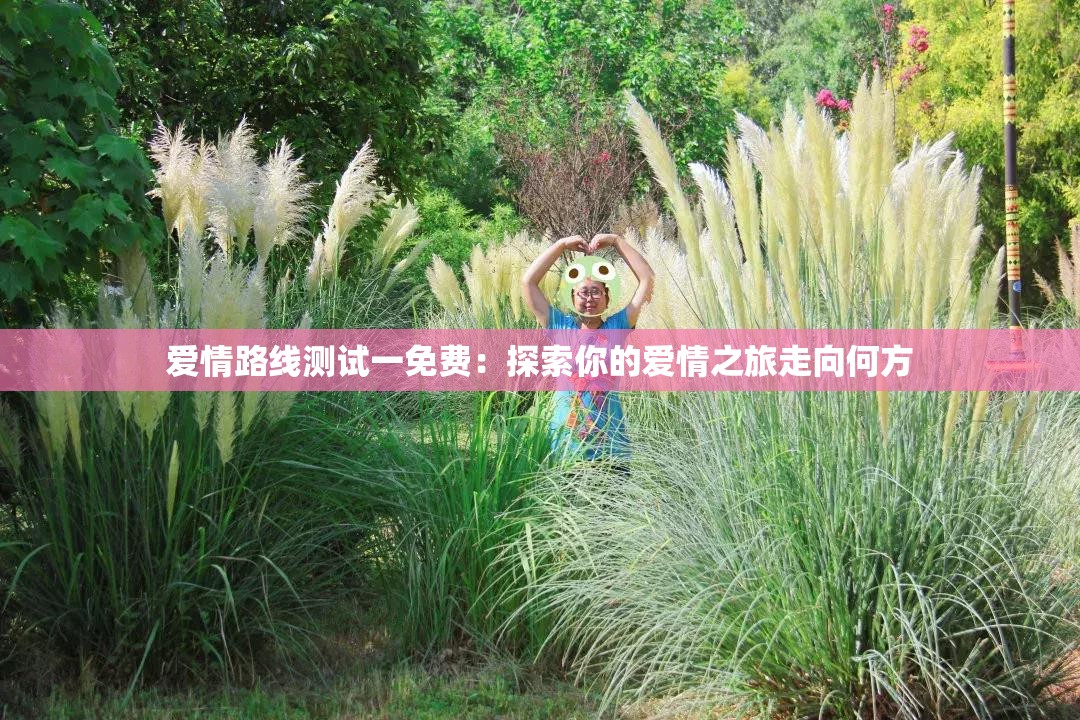 爱情路线测试一免费：探索你的爱情之旅走向何方