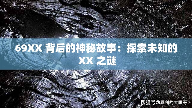 69XX 背后的神秘故事：探索未知的 XX 之谜