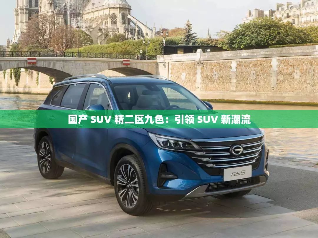 国产 SUV 精二区九色：引领 SUV 新潮流