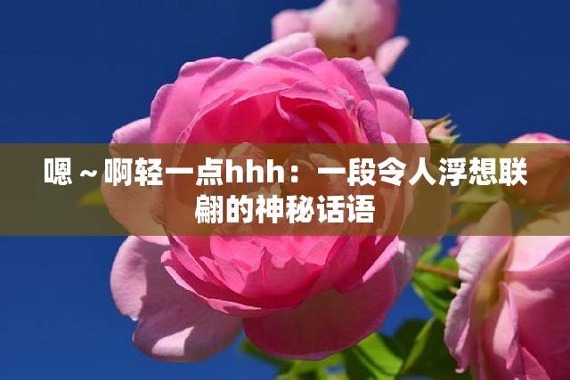 嗯～啊轻一点hhh：一段令人浮想联翩的神秘话语