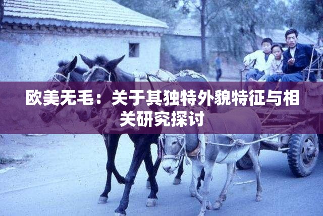 欧美无毛：关于其独特外貌特征与相关研究探讨