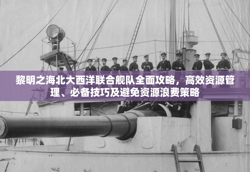 黎明之海北大西洋联合舰队全面攻略，高效资源管理、必备技巧及避免资源浪费策略