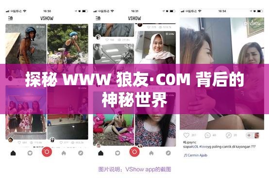 探秘 WWW 狼友·C0M 背后的神秘世界