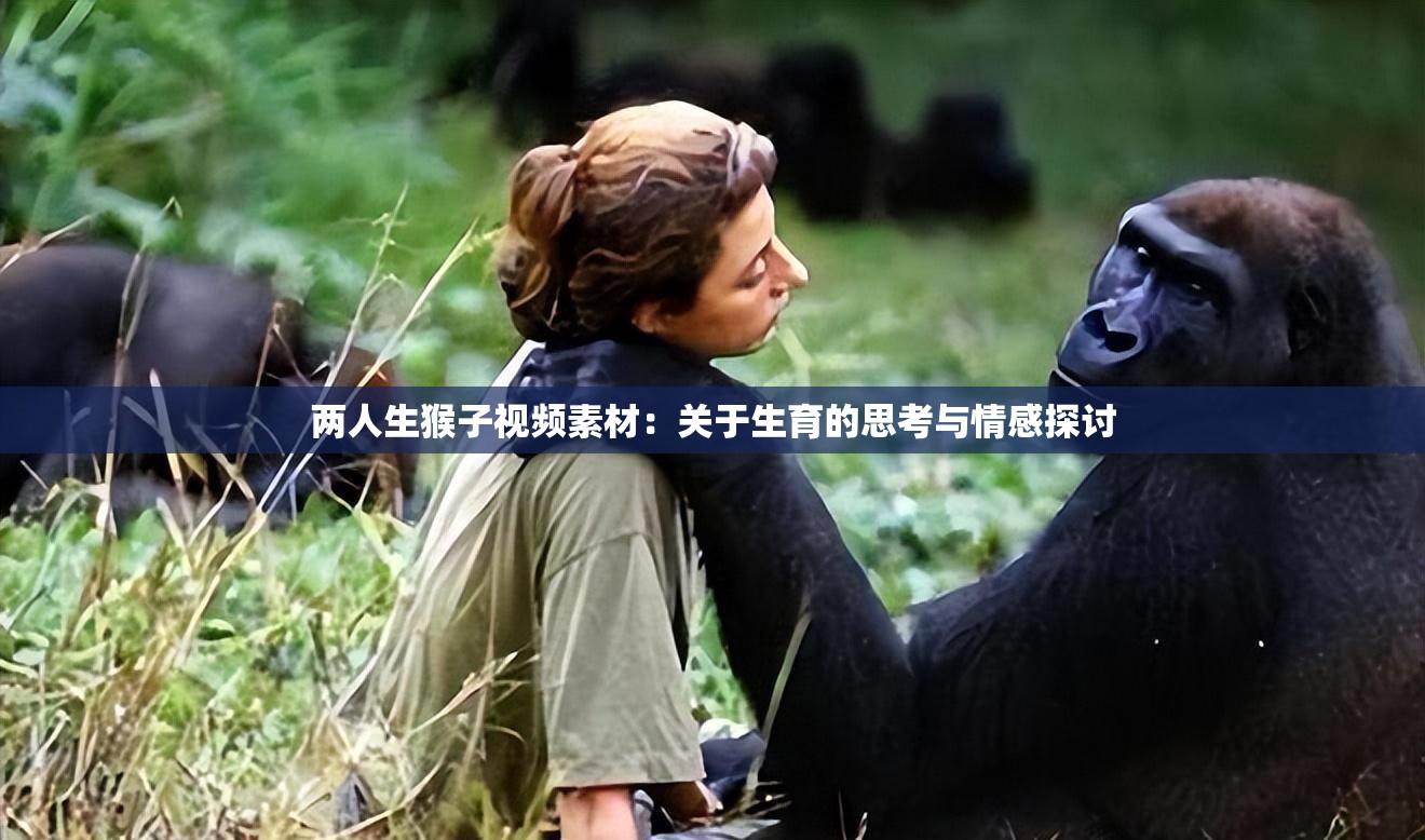 两人生猴子视频素材：关于生育的思考与情感探讨