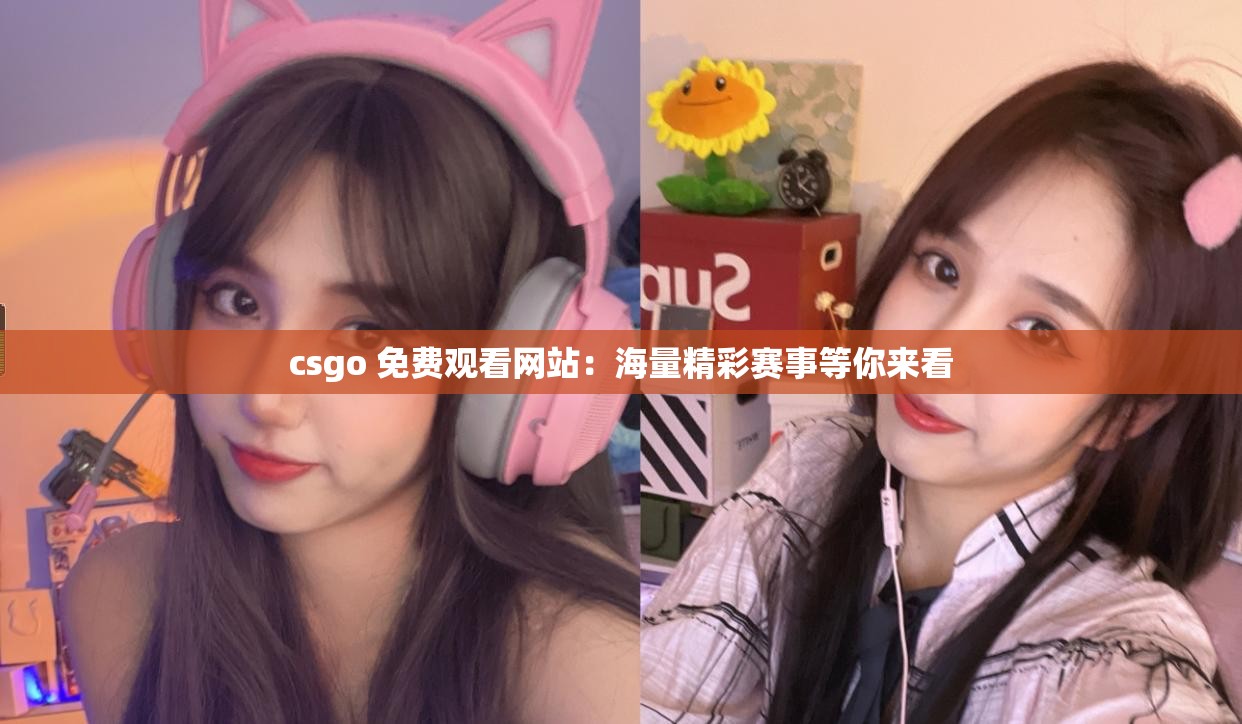 csgo 免费观看网站：海量精彩赛事等你来看