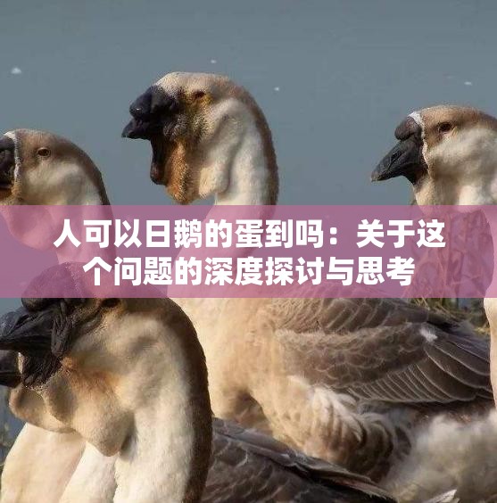 人可以日鹅的蛋到吗：关于这个问题的深度探讨与思考
