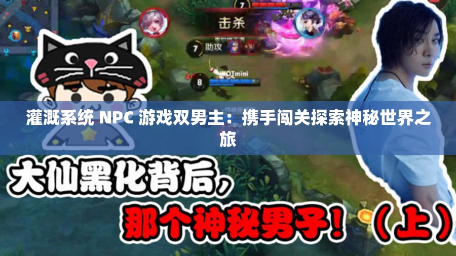 灌溉系统 NPC 游戏双男主：携手闯关探索神秘世界之旅