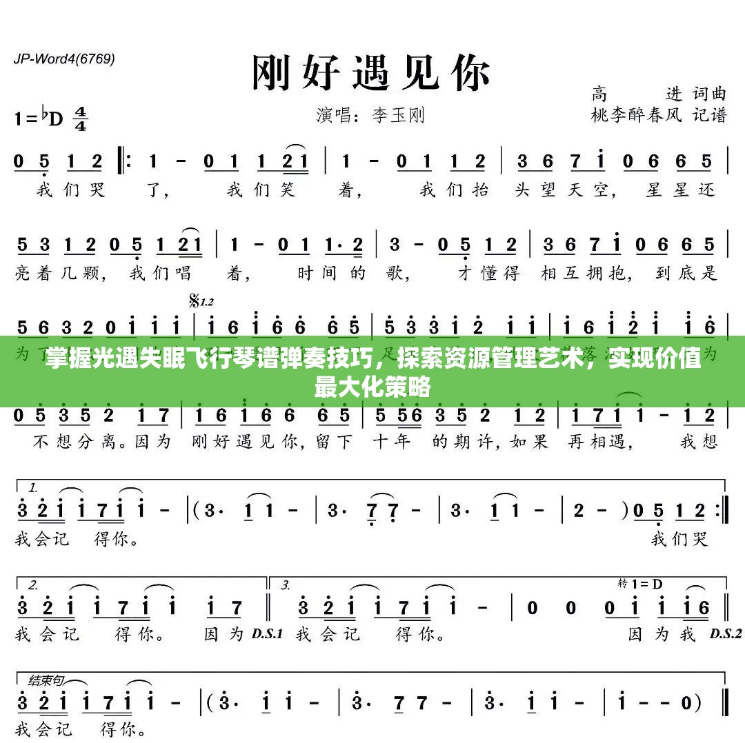 掌握光遇失眠飞行琴谱弹奏技巧，探索资源管理艺术，实现价值最大化策略