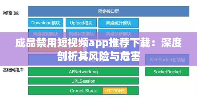 成品禁用短视频app推荐下载：深度剖析其风险与危害