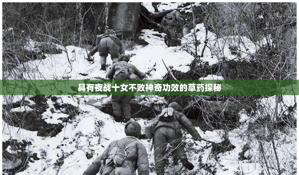 具有夜战十女不败神奇功效的草药探秘