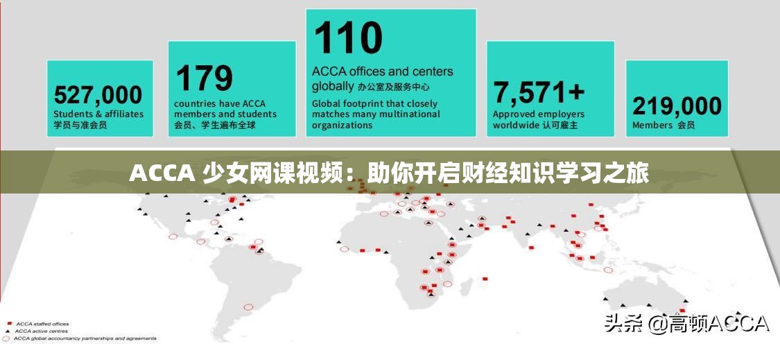 ACCA 少女网课视频：助你开启财经知识学习之旅