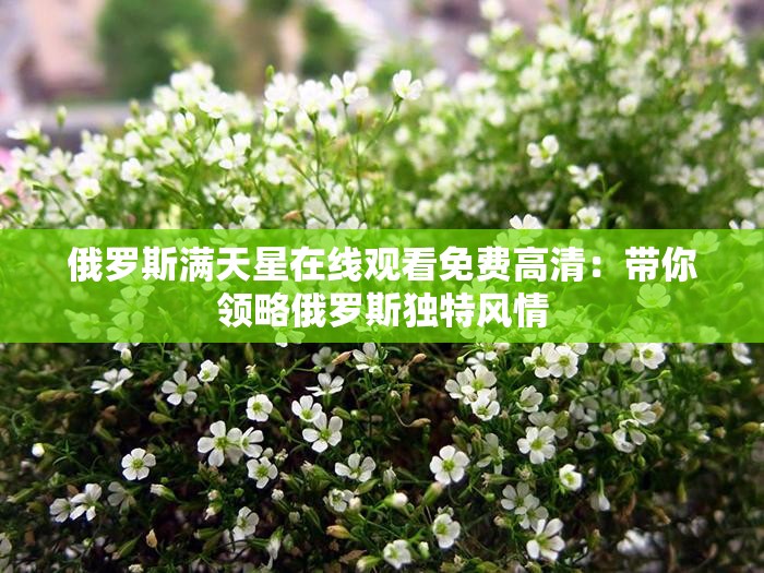 俄罗斯满天星在线观看免费高清：带你领略俄罗斯独特风情