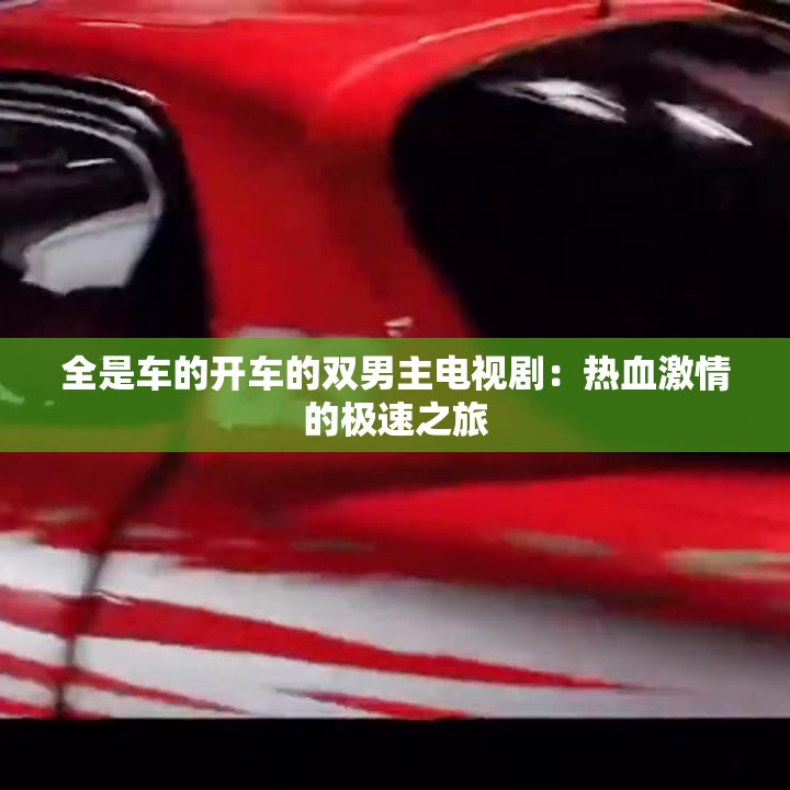 全是车的开车的双男主电视剧：热血激情的极速之旅