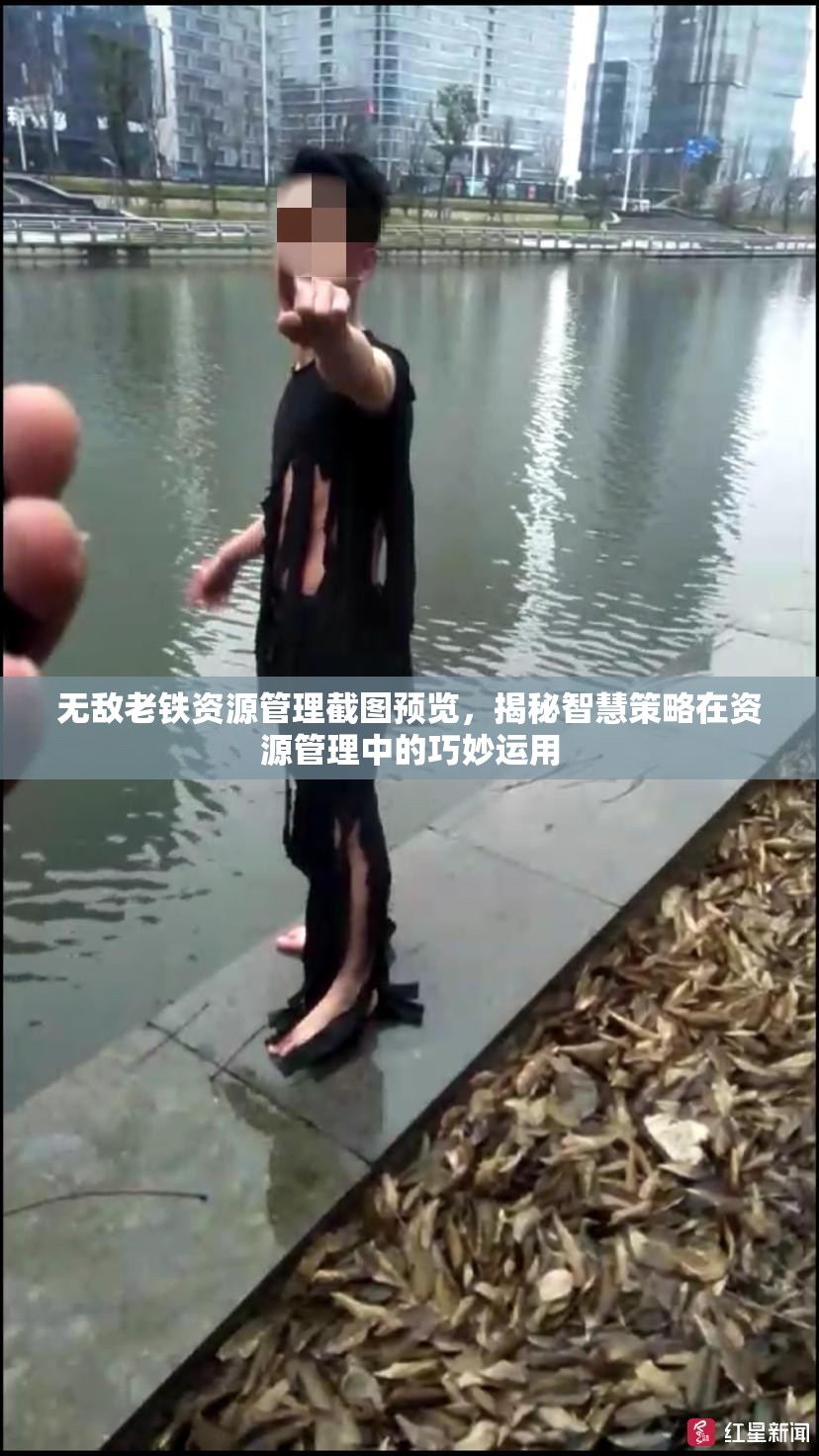无敌老铁资源管理截图预览，揭秘智慧策略在资源管理中的巧妙运用