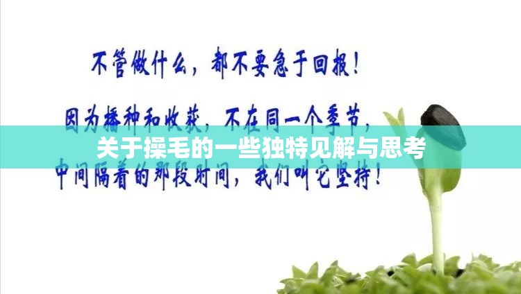 关于操毛的一些独特见解与思考