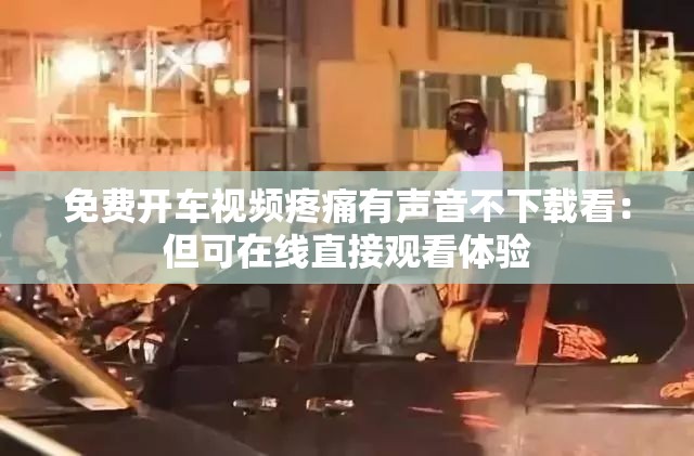 免费开车视频疼痛有声音不下载看：但可在线直接观看体验