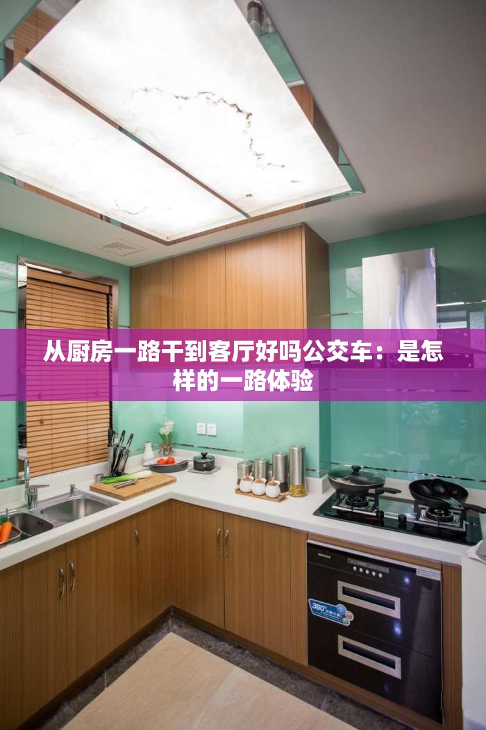 从厨房一路干到客厅好吗公交车：是怎样的一路体验
