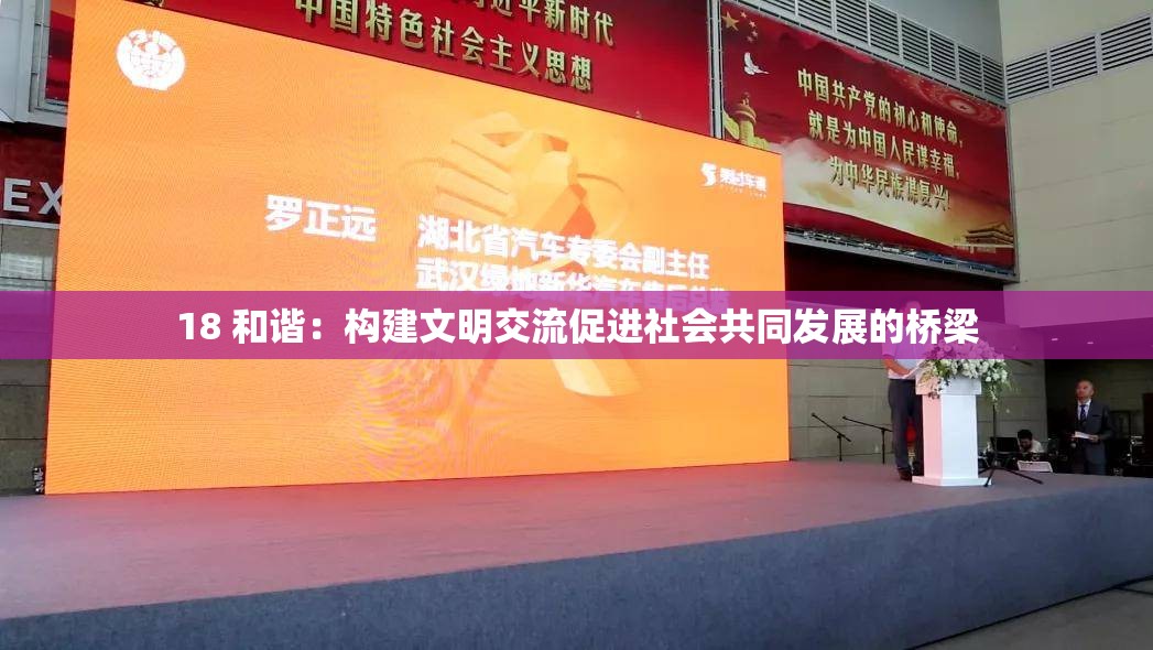 18 和谐：构建文明交流促进社会共同发展的桥梁