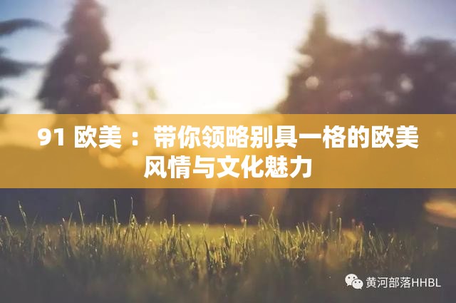91 欧美 ：带你领略别具一格的欧美风情与文化魅力