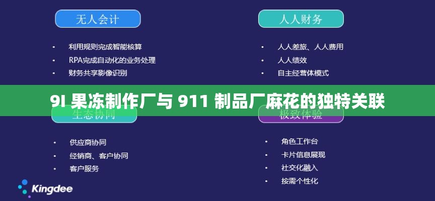 9I 果冻制作厂与 911 制品厂麻花的独特关联