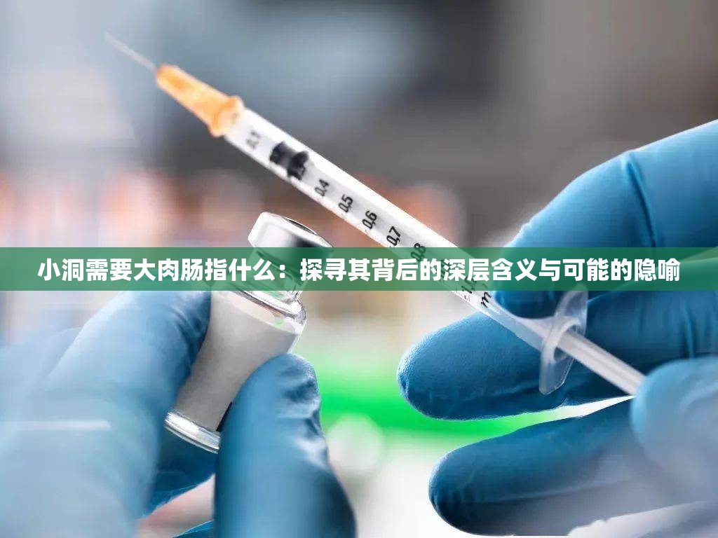 小洞需要大肉肠指什么：探寻其背后的深层含义与可能的隐喻