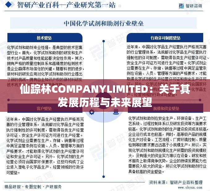 仙踪林COMPANYLIMITED：关于其发展历程与未来展望