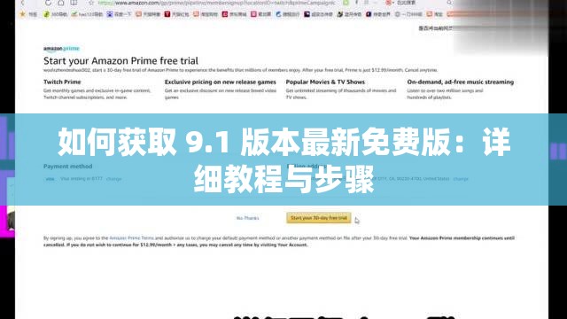 如何获取 9.1 版本最新免费版：详细教程与步骤