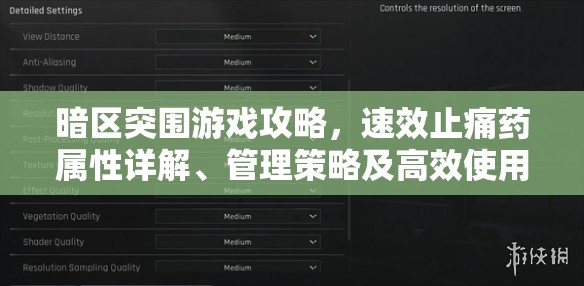 暗区突围游戏攻略，速效止痛药属性详解、管理策略及高效使用技巧