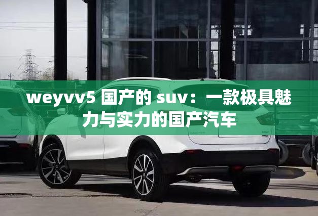 weyvv5 国产的 suv：一款极具魅力与实力的国产汽车