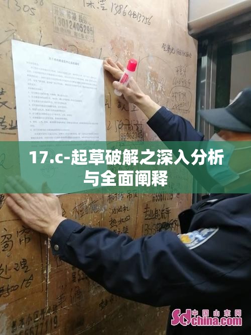 17.c-起草破解之深入分析与全面阐释